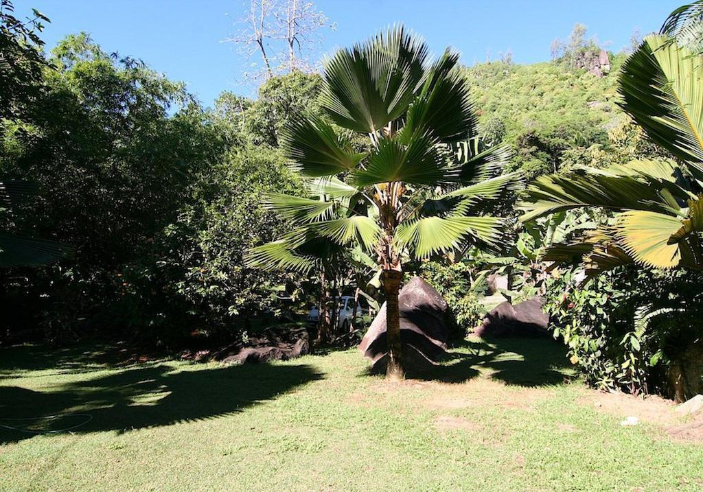 La Rocaille Villa Baie Lazare  ภายนอก รูปภาพ
